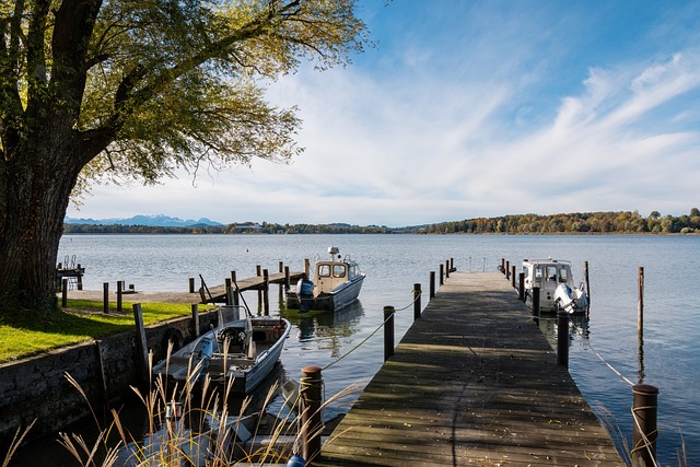 更是在组织 更是在组织