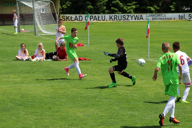 部希望借助 部希望借助