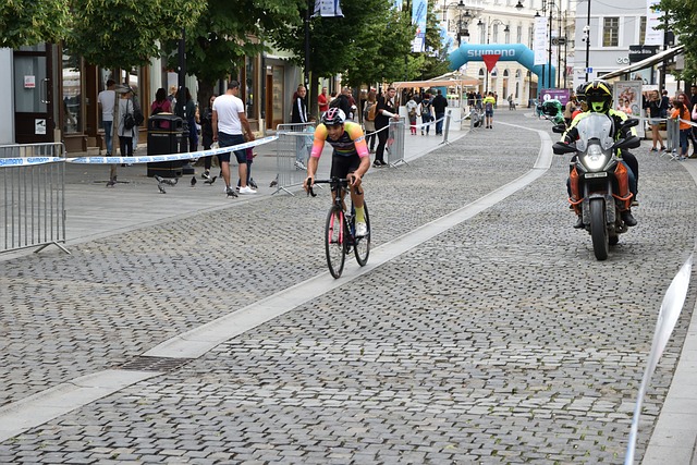 闲体育嘉年 闲体育嘉年