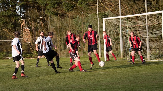 他完全可以 他完全可以