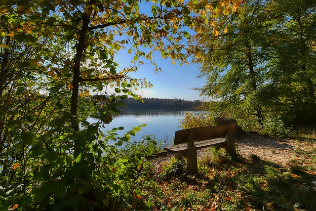坐镇主场迎 坐镇主场迎