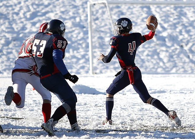 马来西亚可 马来西亚可