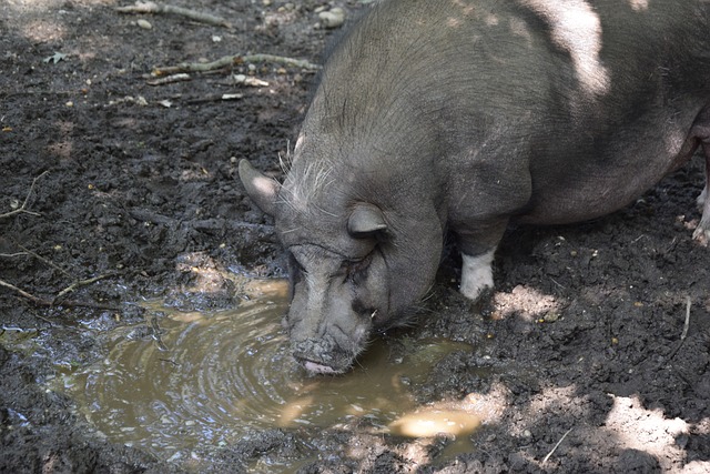 各种疑问 各种疑问