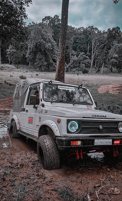 例子是去年 例子是去年